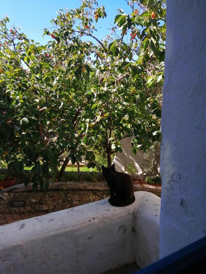 B&B Corte San Lussorio 오리에나 외부 사진