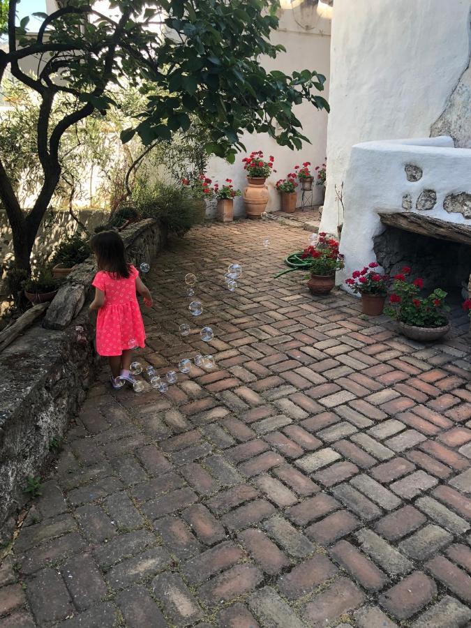 B&B Corte San Lussorio 오리에나 외부 사진