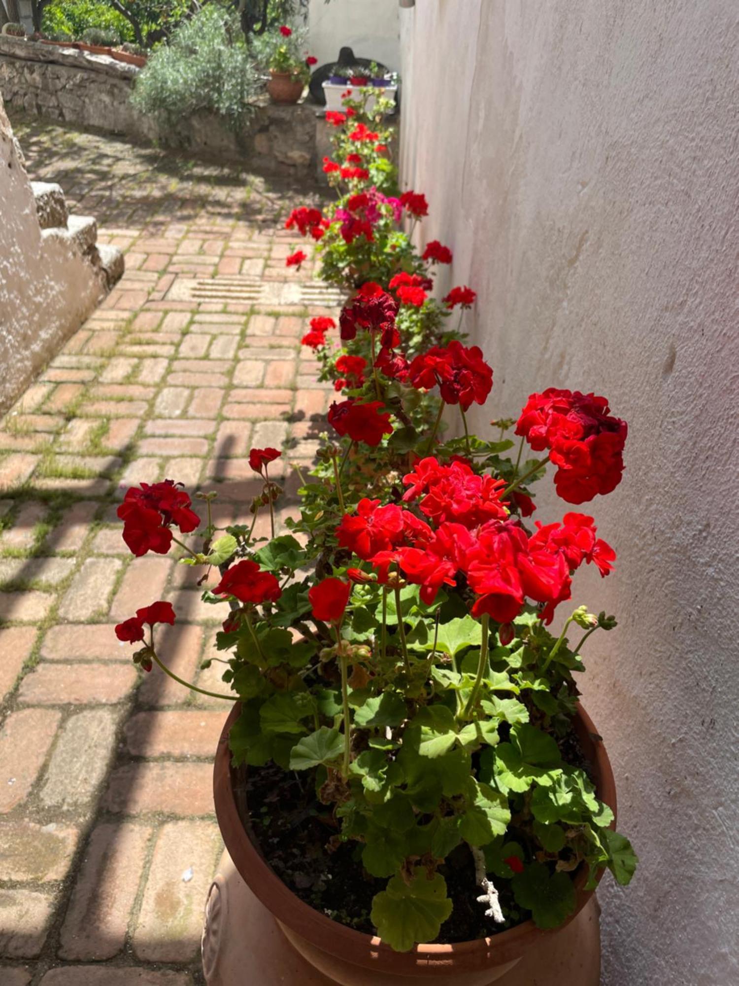 B&B Corte San Lussorio 오리에나 외부 사진